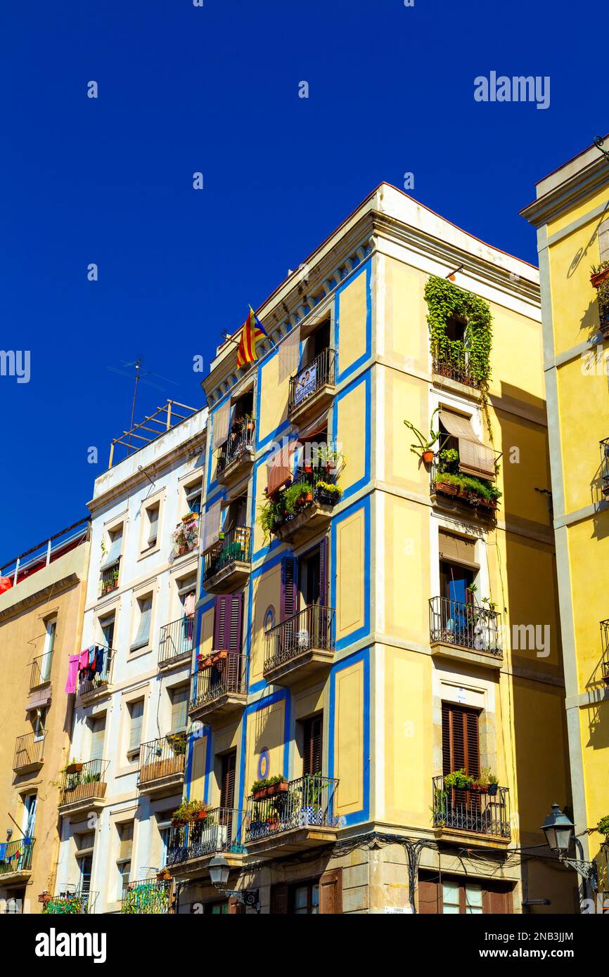 Historische Wohnhäuser rund um den Santa Caterina Markt, das gotische Viertel, Barcelona, Katalonien, Spanien Stockfoto