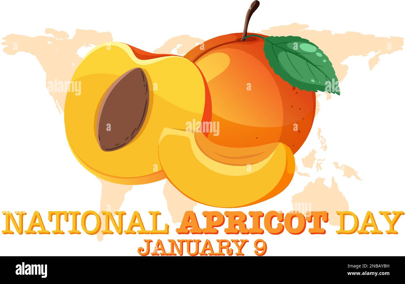 National Apricot Day Poster Design Illustration Stock Vektor