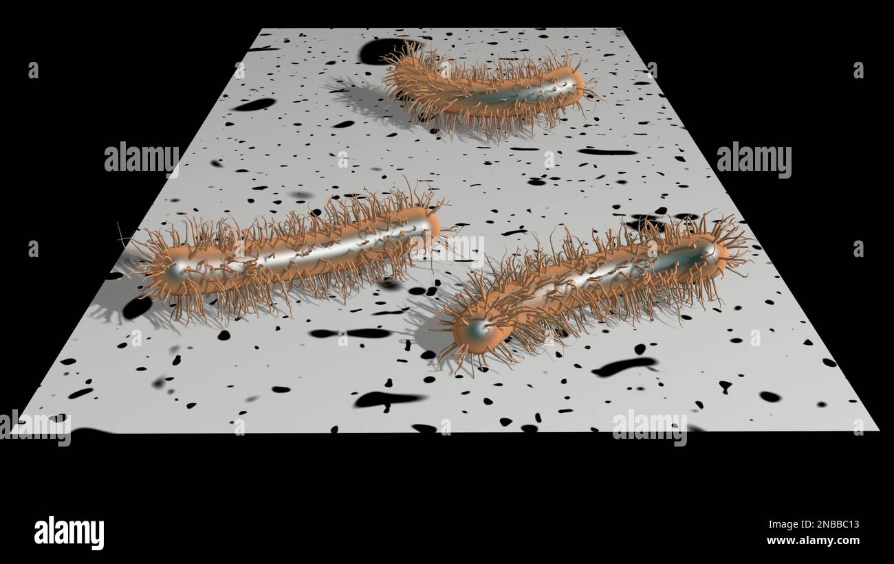 Verschwendung von Essbakterien. Mikroben verbrauchen Kunststoff. 3D-Darstellung rendern. Stockfoto
