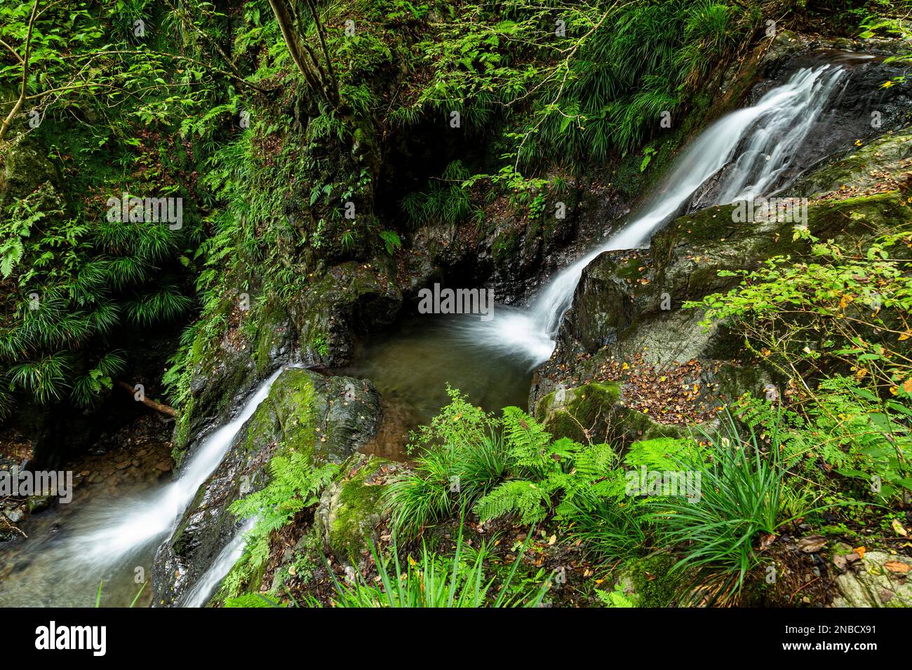 Bergbach, kleine Wasserfälle, Okutama & Okumusashi Berge, Hannou Stadt, Saitama Provinz, Japan, Ostasien, Asien Stockfoto