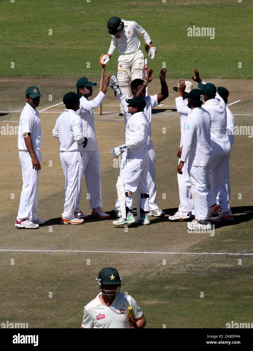 Bangladesh players celebrate the wicket of Zimbabwean batsman Craig