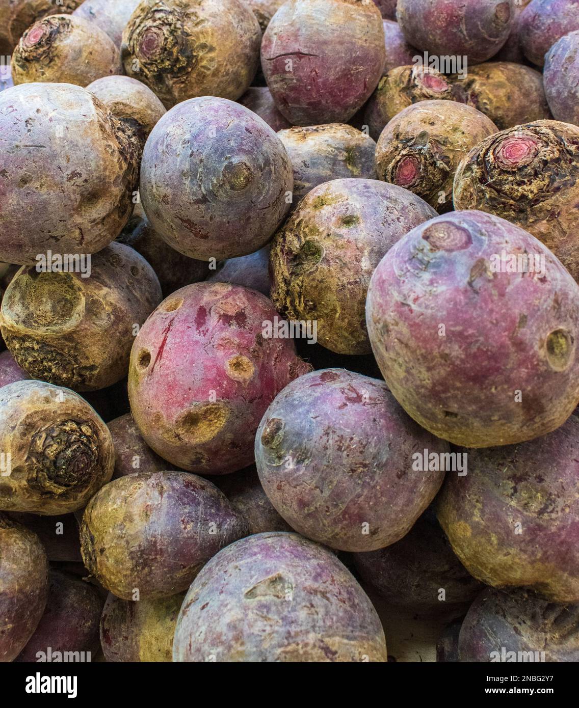 Nahaufnahme eines Haufens roter Rüben auf einem Stand Stockfoto