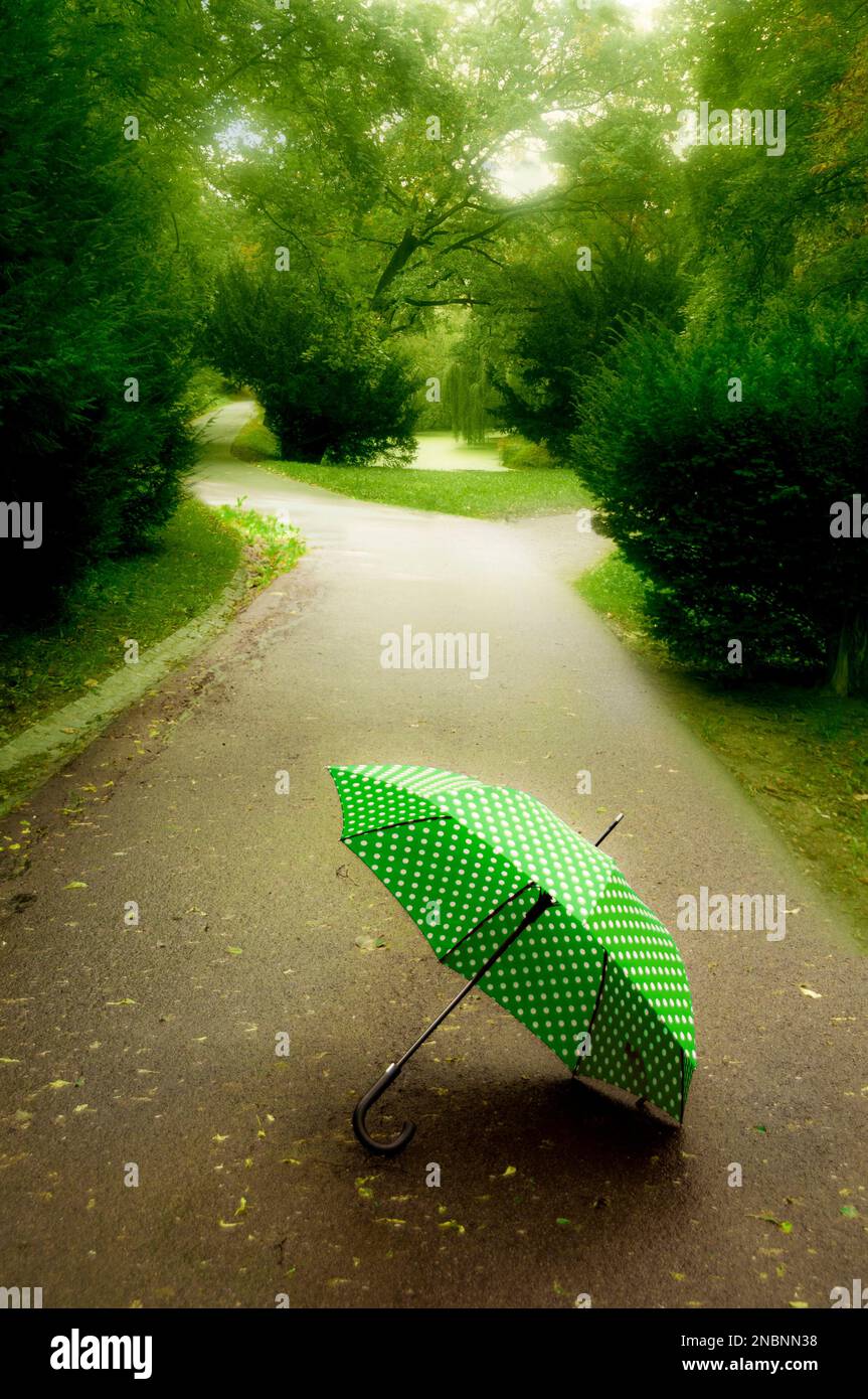 Grün und weiß gepunkteter Regenschirm, der auf der Straße liegt Stockfoto