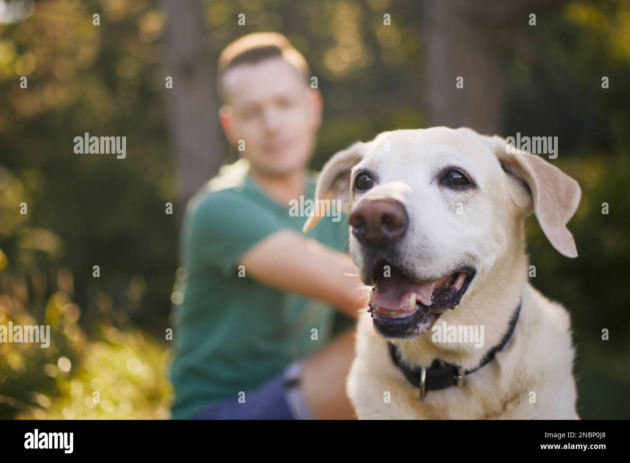 Ein Mann mit seinem glücklichen Hund, der im Gras unter dem Baum sitzt. Tierbesitzer genießen einen Ausflug mit seinem labrador Retriever während des sonnigen Sommertags. Stockfoto