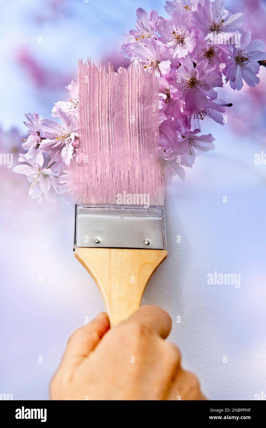 Blumen mit einem Pinsel malen Stockfoto
