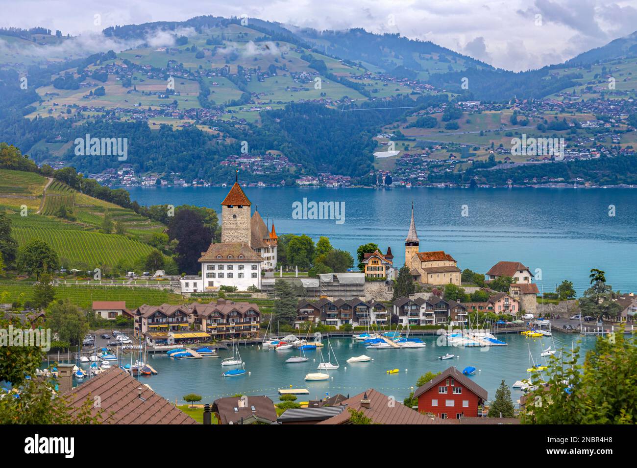 Blick auf das Dorf Spiez am Thunsee im Berner Oberland, Schweiz Stockfoto