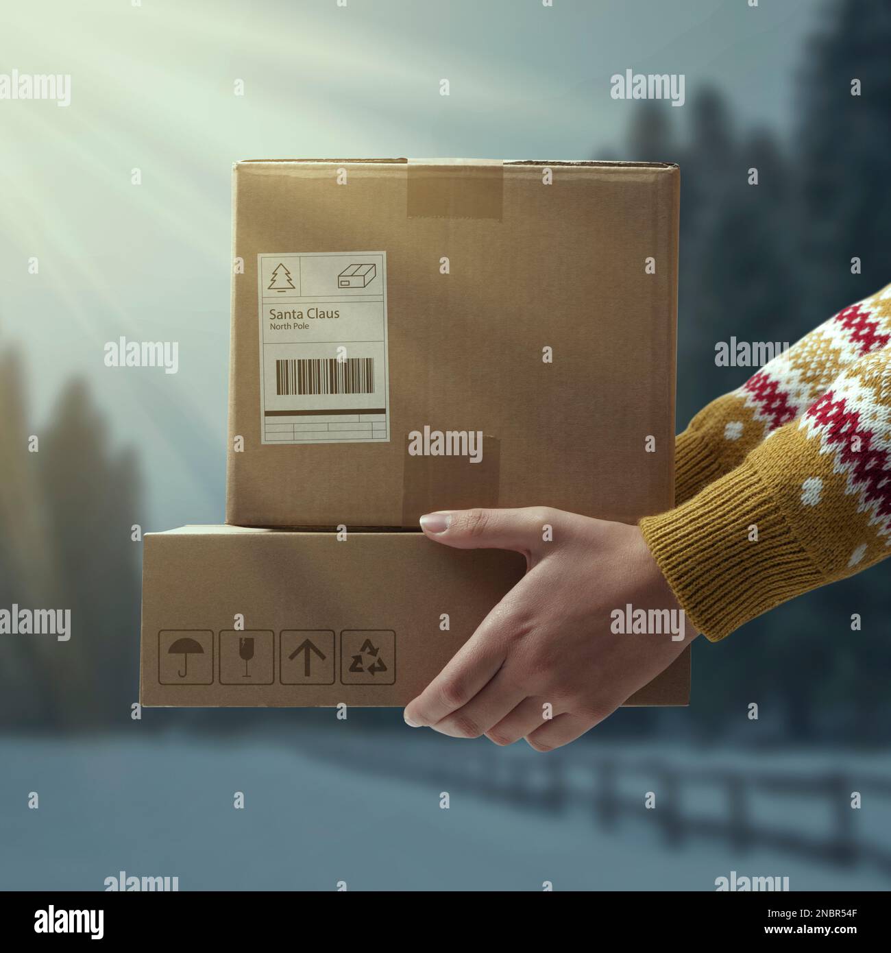 Frau mit Lieferkartons für den Weihnachtsmann und winterliche Landschaft im Hintergrund, Weihnachtskonzept Stockfoto