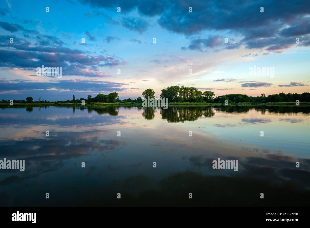 Reflexion der Abendwolken im Wasser eines ruhigen Sees, Stankow, Lubelskie, Polen Stockfoto