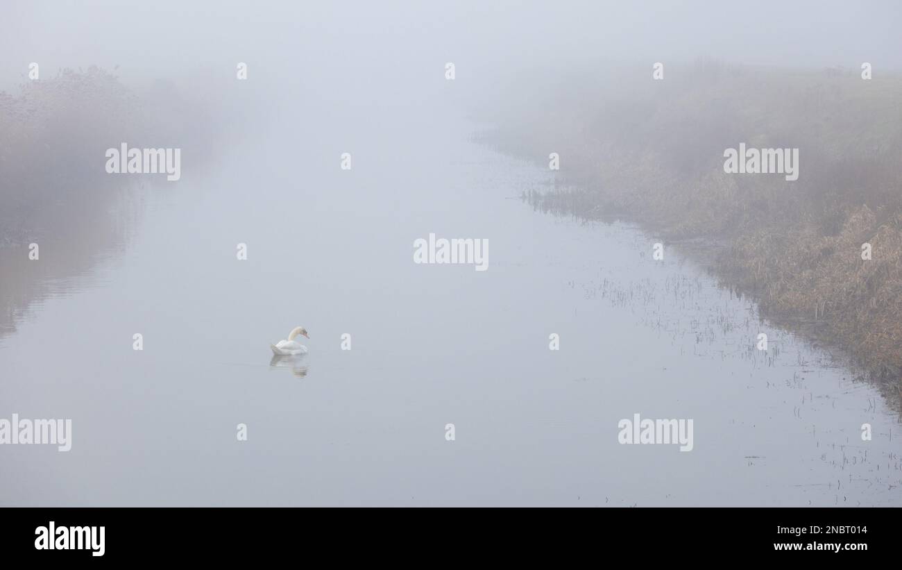 Hamstreet, Kent, Großbritannien. 14. Februar 2023. Wetter in Großbritannien: Dichter Nebel auf dem Royal Military Canal, der durch das Dorf Hamstreet in der Landschaft von Kent verläuft. Foto: Paul Lawrenson/Alamy Live News Stockfoto