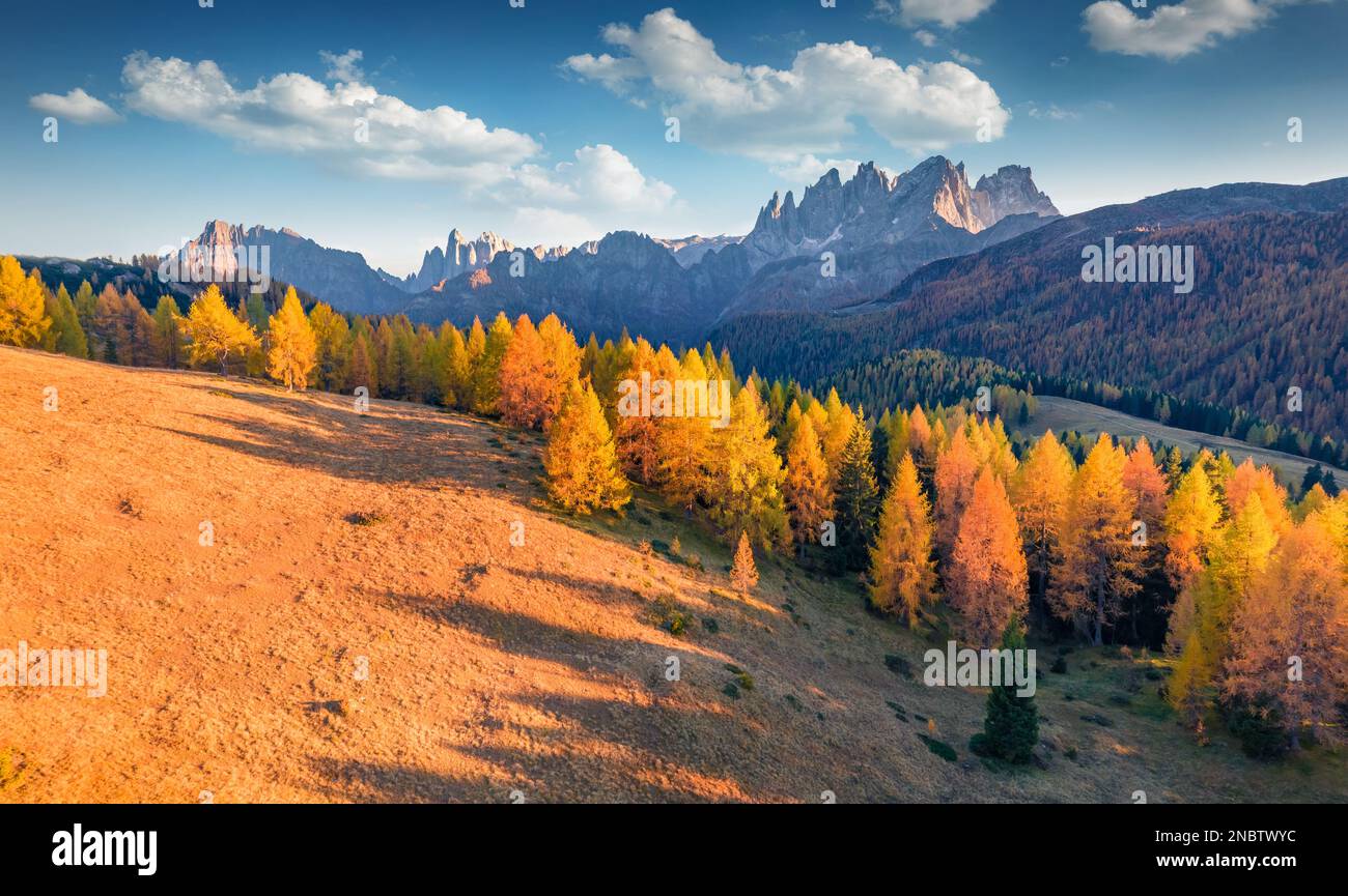 Farbenfrohe Herbstszene im Fuchiade-Tal. Fesselnder abendlicher Blick auf die Dolomiten, Italien, Europa. Blick von der fliegenden Drohne auf goldene Lärchenbäume Stockfoto