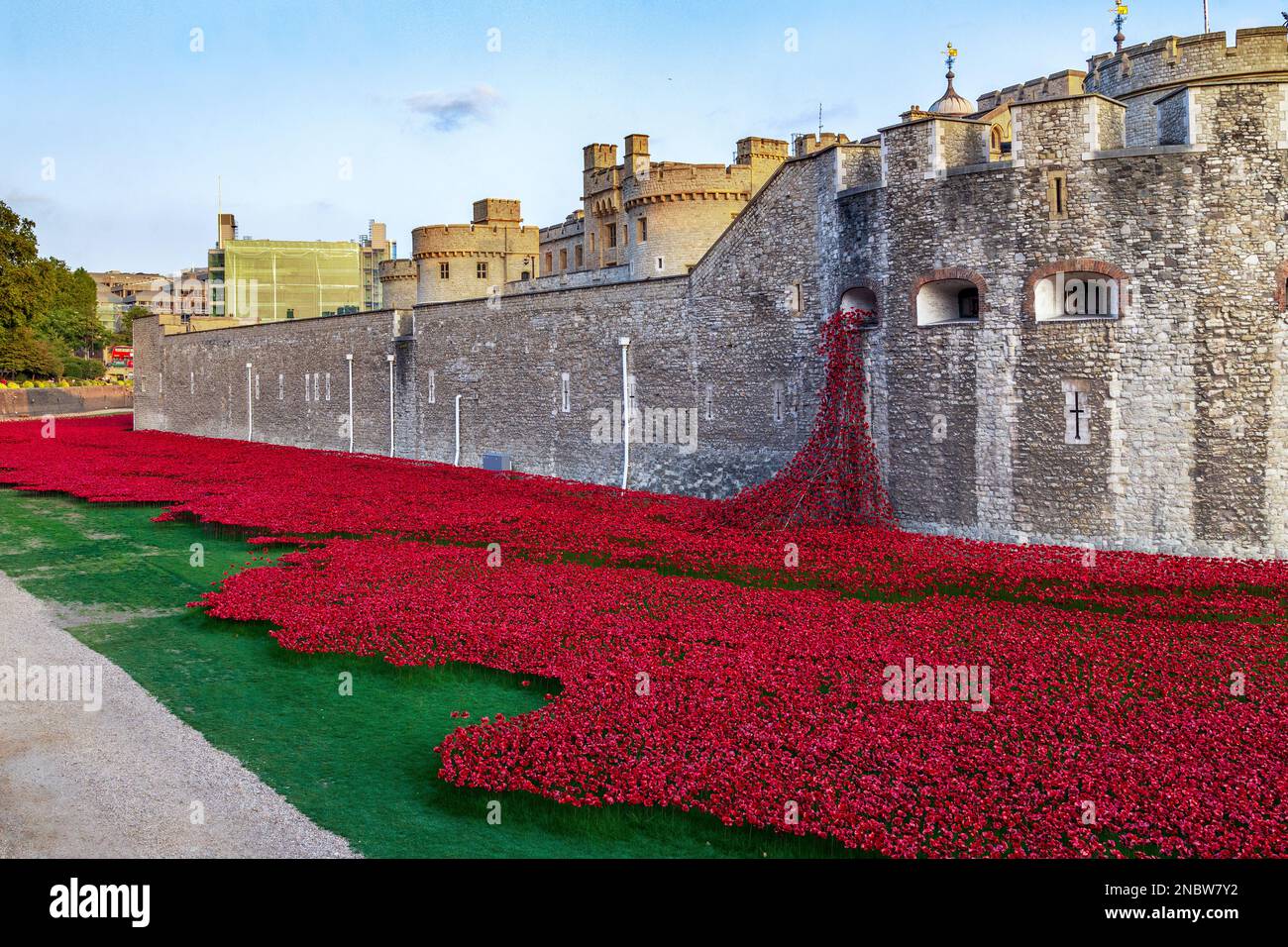 LONDON, GROSSBRITANNIEN - 21. SEPTEMBER 2014: Dies ist eine Installation aus roten Keramikmohn zur Erinnerung an die Toten des Ersten Weltkriegs in der moa Stockfoto