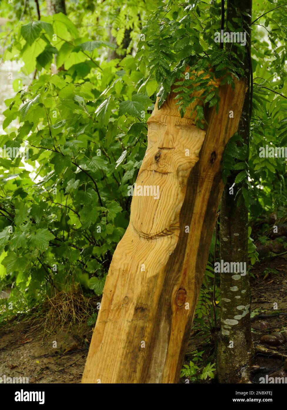 Hölzerne Idol, Waldlandschaft am Fluss Stockfoto