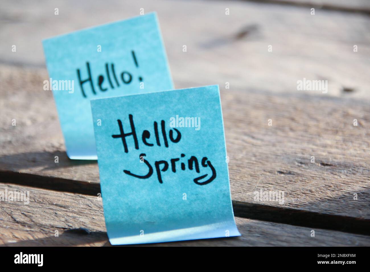 Hallo Frühlingskonzept! Die Inschrift auf dem blauen Schild. Stockfoto