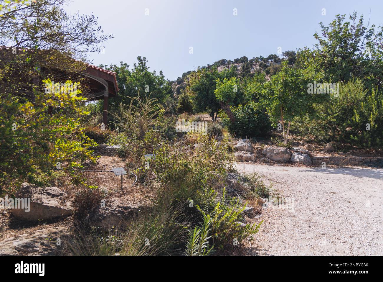 Botanischer Garten Bäder der Aphrodite im Akamas National Forest auf