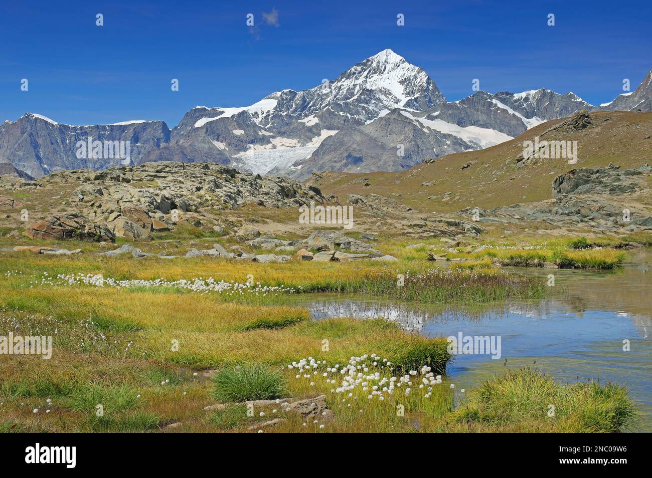 Weisshorn, 4505 m, (am Ende des Val d´Anniviers, Wallis) vom Stellisee (Stelli-See) aus gesehen, Zermatt, Wallis, Schweiz Stockfoto