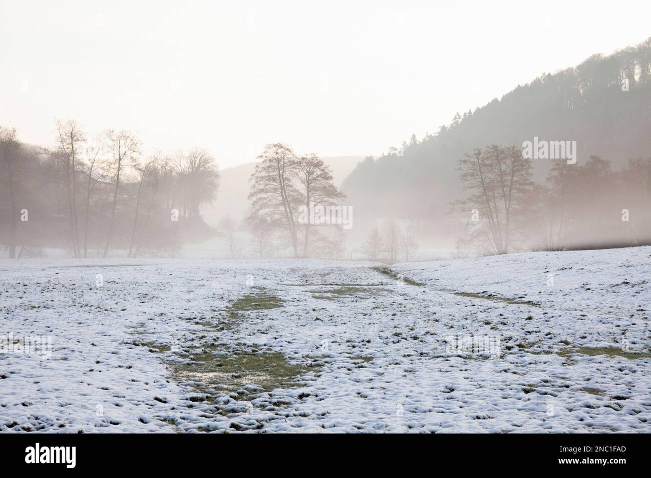 Europa, Luxemburg, Septfontaines, Weideland mit Schnee im Winternebel Stockfoto