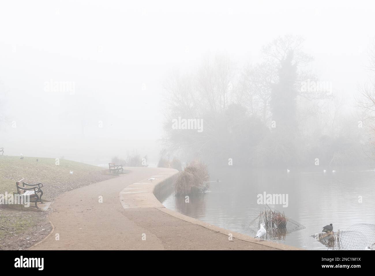 Northampton, Großbritannien. Wetter. Starker Nebel im Abington Park hielt die Leute nicht davon ab, morgens Sport zu treiben. Northamptonshire, England. Stockfoto