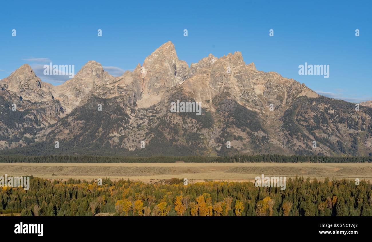 Herbstfarben im Grand Teton National Park. Stockfoto