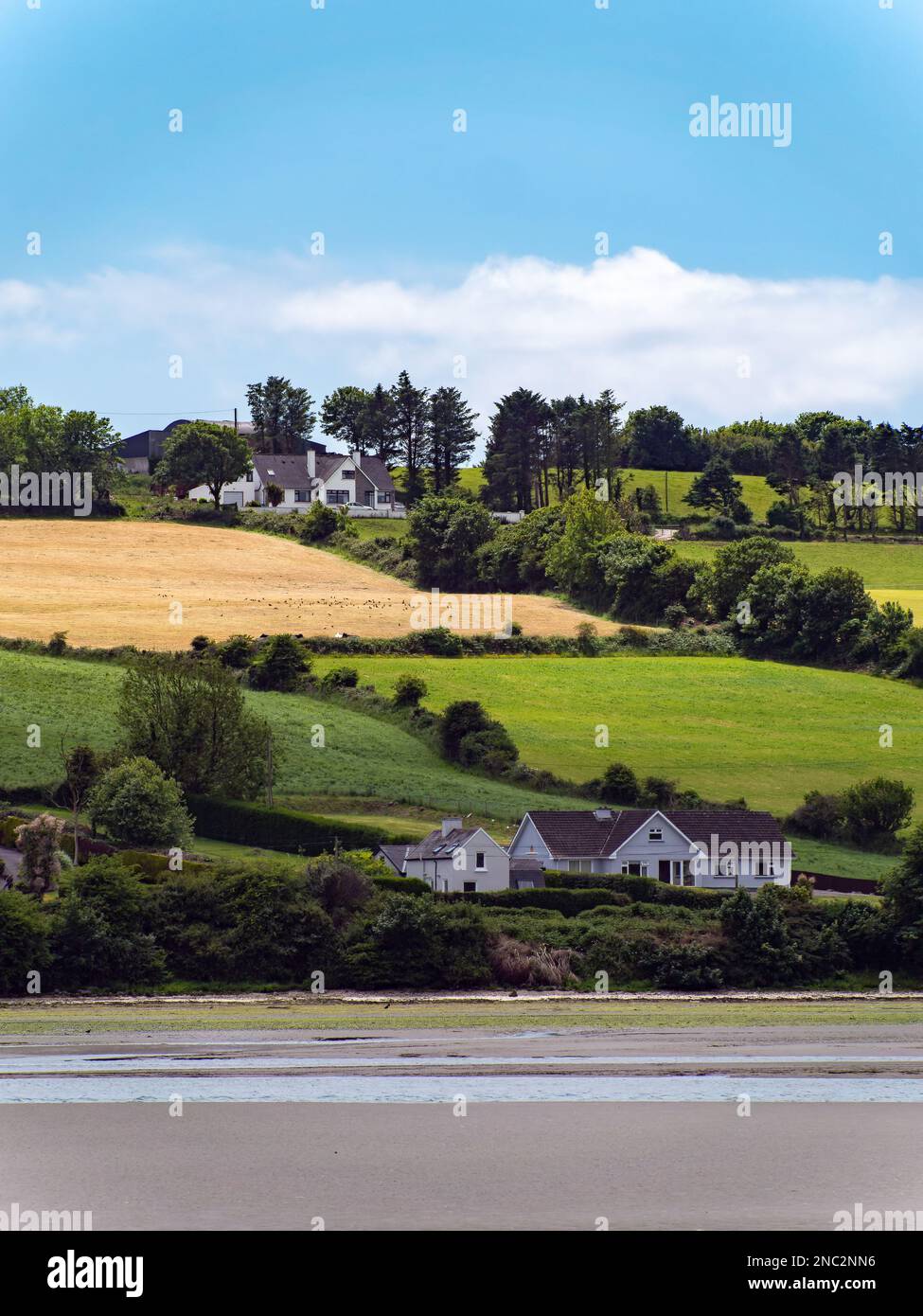 Mehrere Gebäude und Bäume auf einem Hügel. Irische Landschaft. Malerische Landschaft. Bauernfelder unter blauem Himmel, Haus auf grünem Grasfeld. Stockfoto