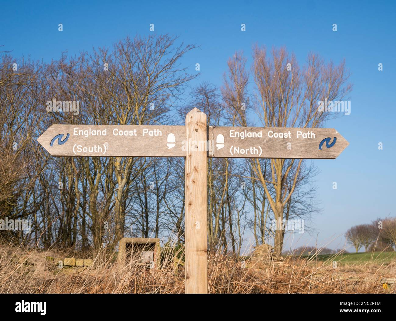 Hölzerne Wegweiser entlang des England Coast Path in Alnmouth, Northumberland, England, Großbritannien Stockfoto