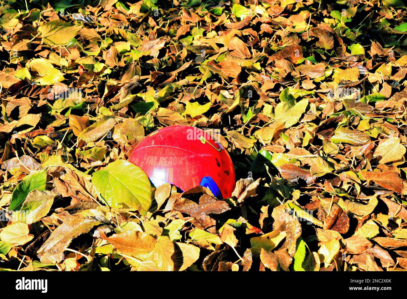 Der verlorene Ball Stockfoto