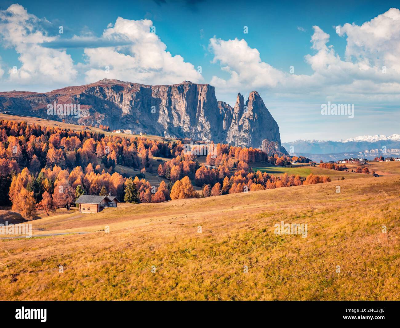 Herrliche Herbstszene des Dorfes Alpe di Siusi mit wunderschönen gelben Lärchen und dem Rosengarten-Gipfel im Hintergrund. Fantastischer Blick auf Dolomi am Vormittag Stockfoto