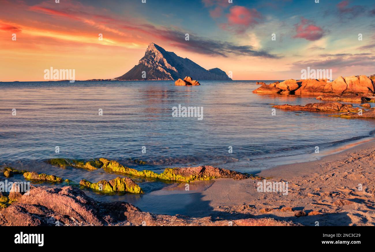 Wunderschöne Sommerlandschaft. Außergewöhnlicher Sonnenaufgang im Sommer auf der Insel Sardinien, Italien, Europa. Schöne Morgenszene am Strand von Porto Taverna mit Tavolara Moun Stockfoto