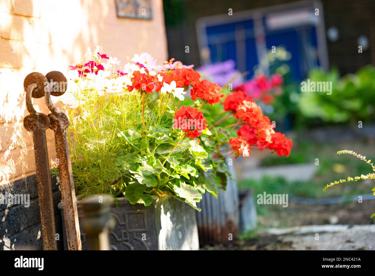 Cottage-Garten Stockfoto