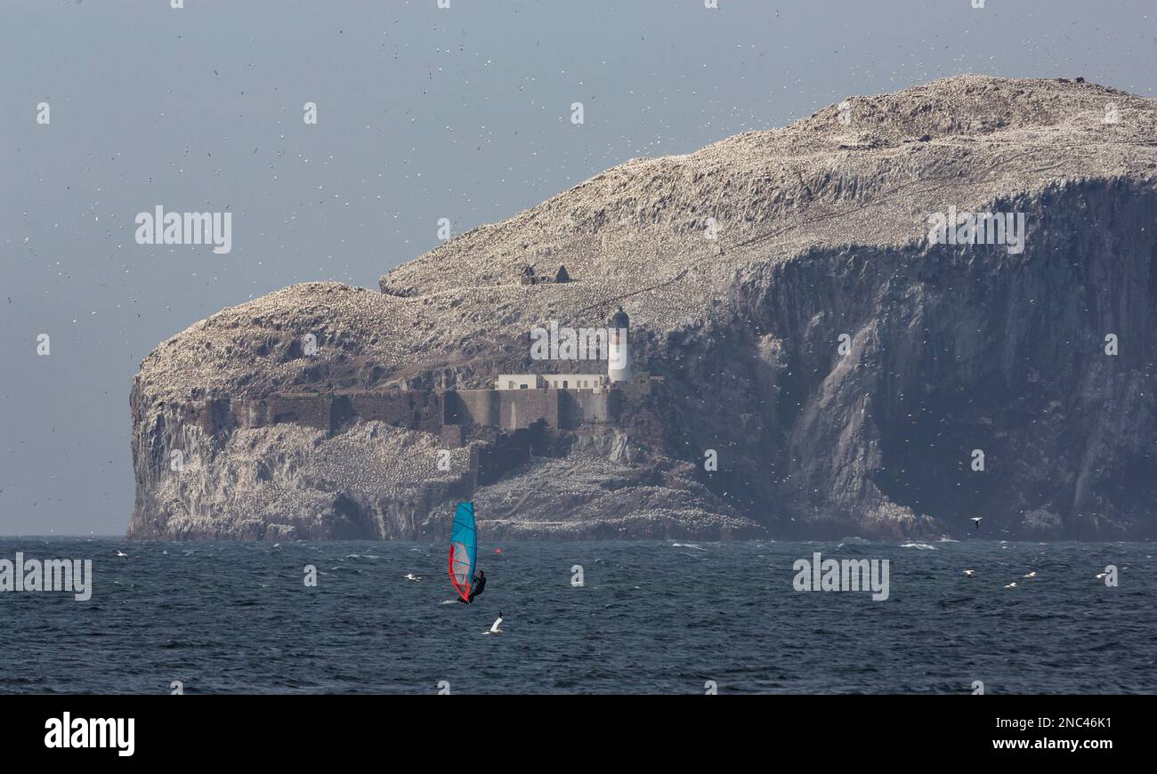 Windsurfer vor dem Bass Rock im Firth of Forth in der Nähe von North Berwick, Schottland Stockfoto