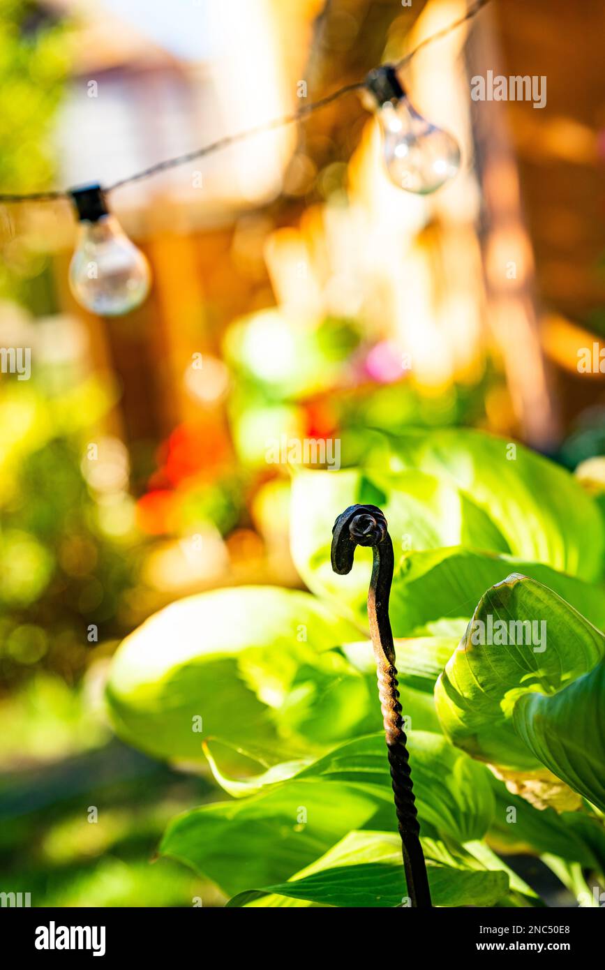 Cottage-Garten Stockfoto