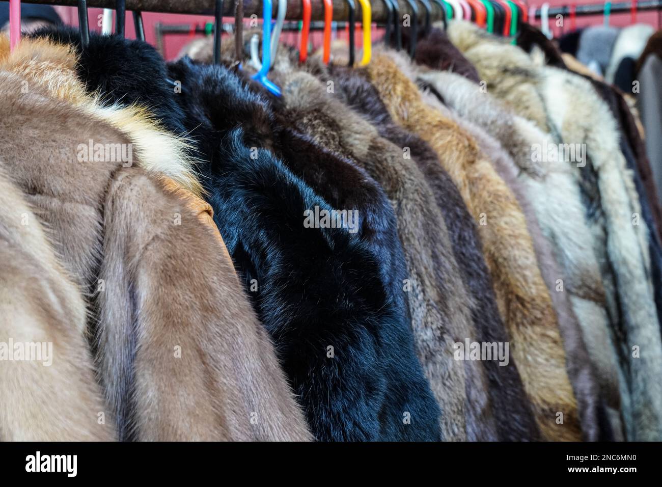 Gebrauchte Mäntel aus Tierfell, echte Pelzmäntel zum Verkauf auf dem Portobello Road Market, London, England, Großbritannien Stockfoto