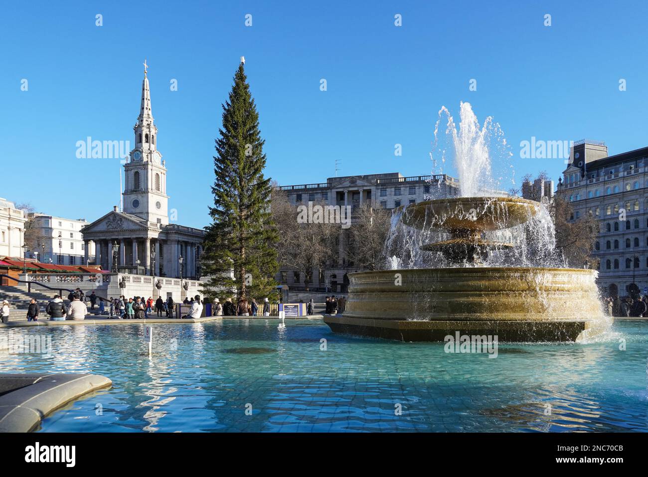 Weihnachtsbaum am Trafalgar Square, London England Vereinigtes Königreich UK Stockfoto