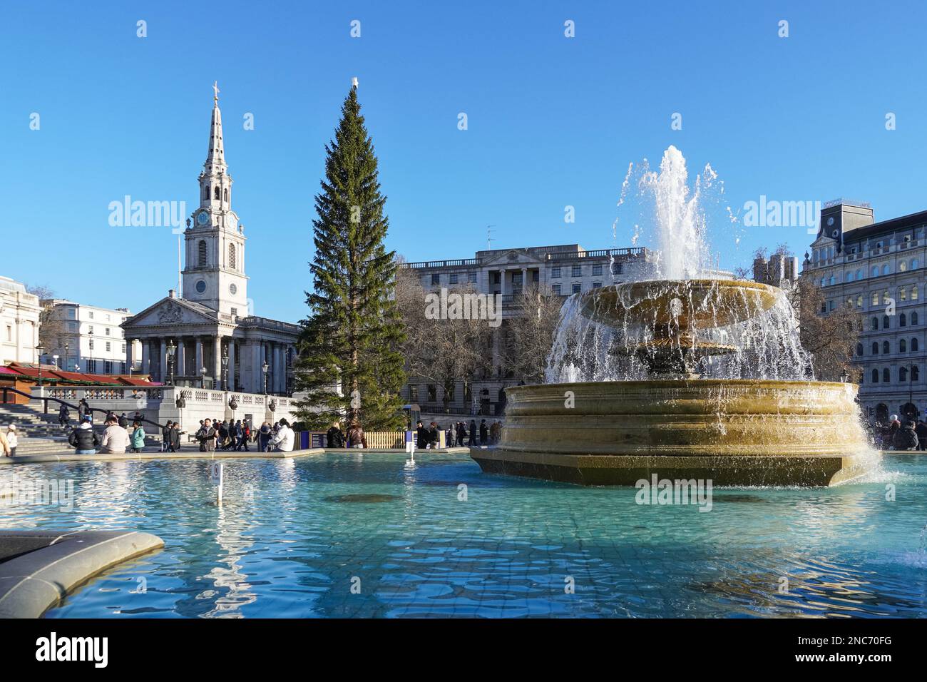 Weihnachtsbaum am Trafalgar Square, London England Vereinigtes Königreich UK Stockfoto