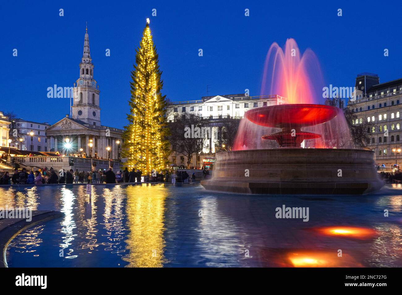 Weihnachtsbaum am Trafalgar Square, London England Vereinigtes Königreich UK Stockfoto