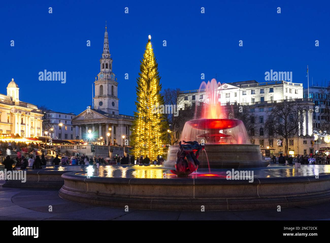 Weihnachtsbaum am Trafalgar Square, London England Vereinigtes Königreich UK Stockfoto