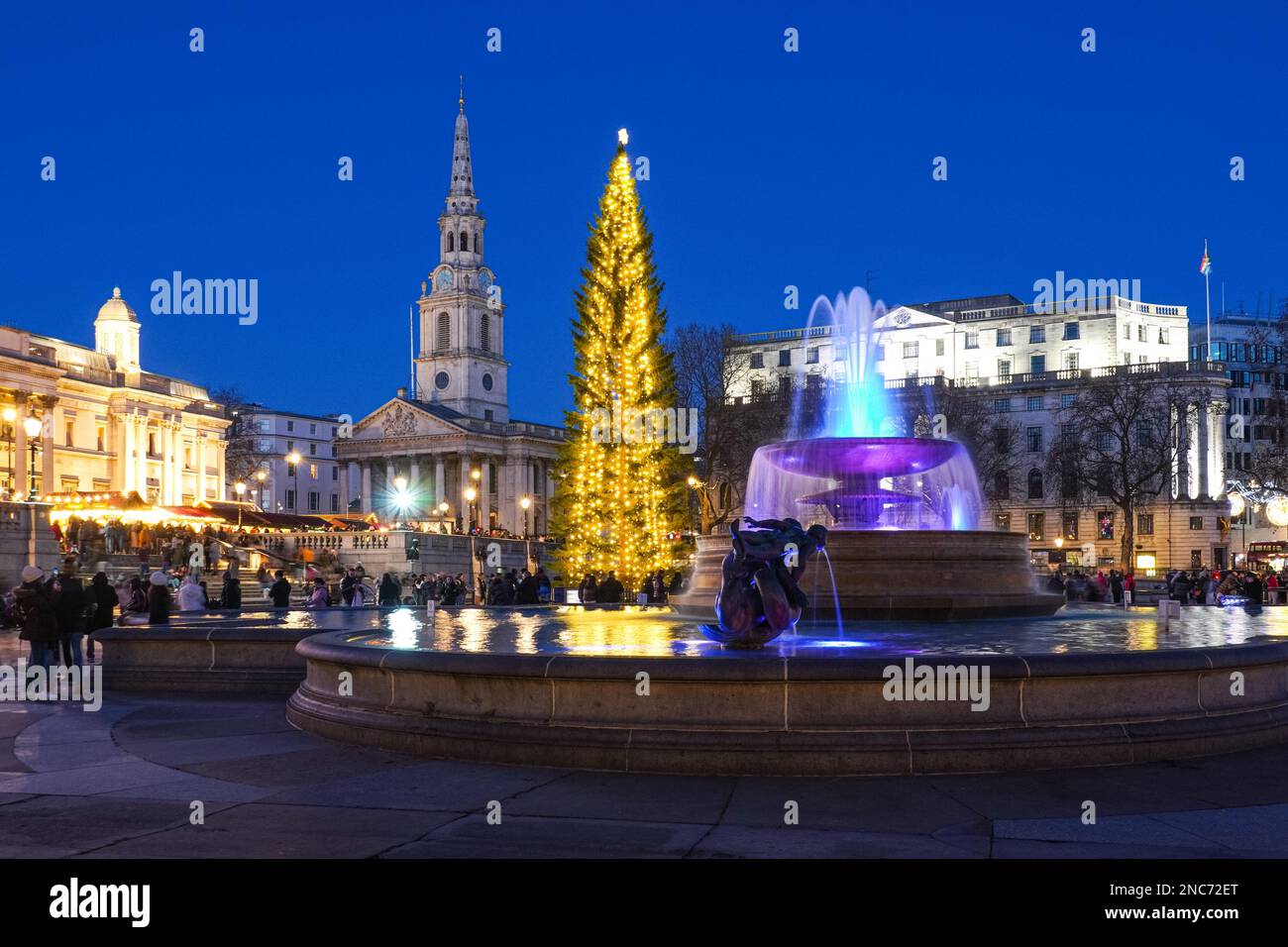 Weihnachtsbaum am Trafalgar Square, London England Vereinigtes Königreich UK Stockfoto