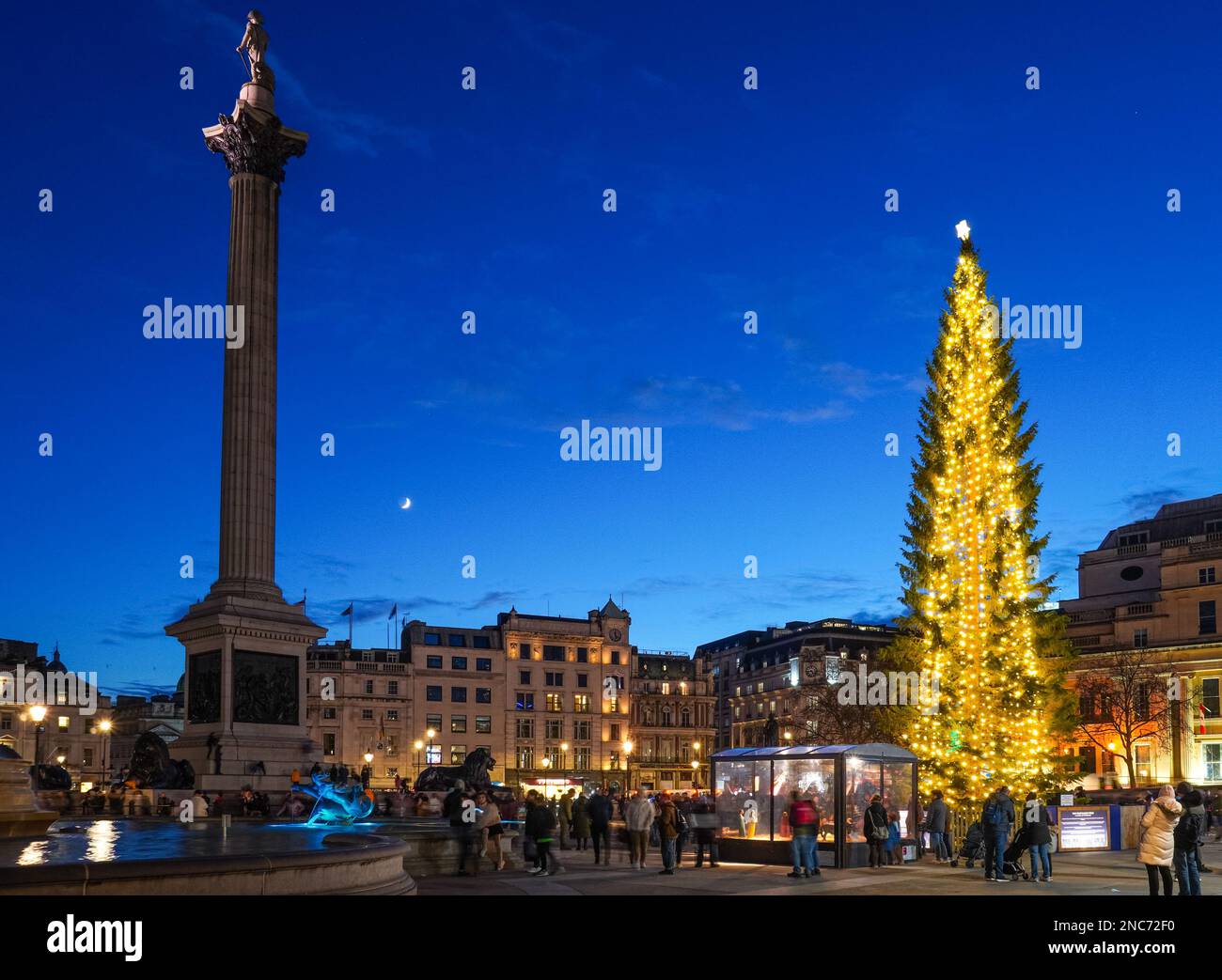 Weihnachtsbaum und Nelson Säule auf dem Trafalgar Square, London England Vereinigtes Königreich UK Stockfoto