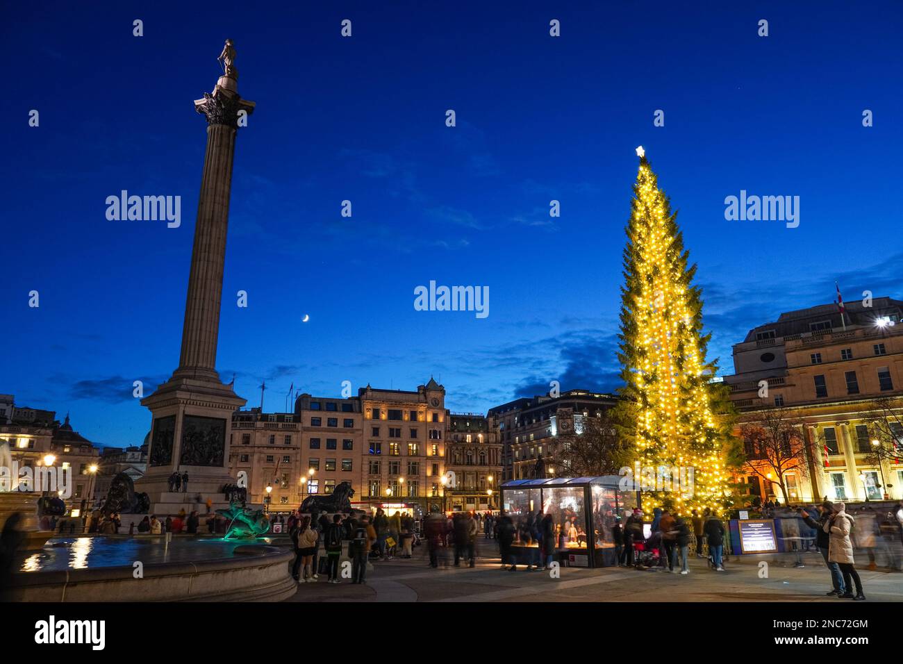 Weihnachtsbaum und Nelson Säule auf dem Trafalgar Square, London England Vereinigtes Königreich UK Stockfoto