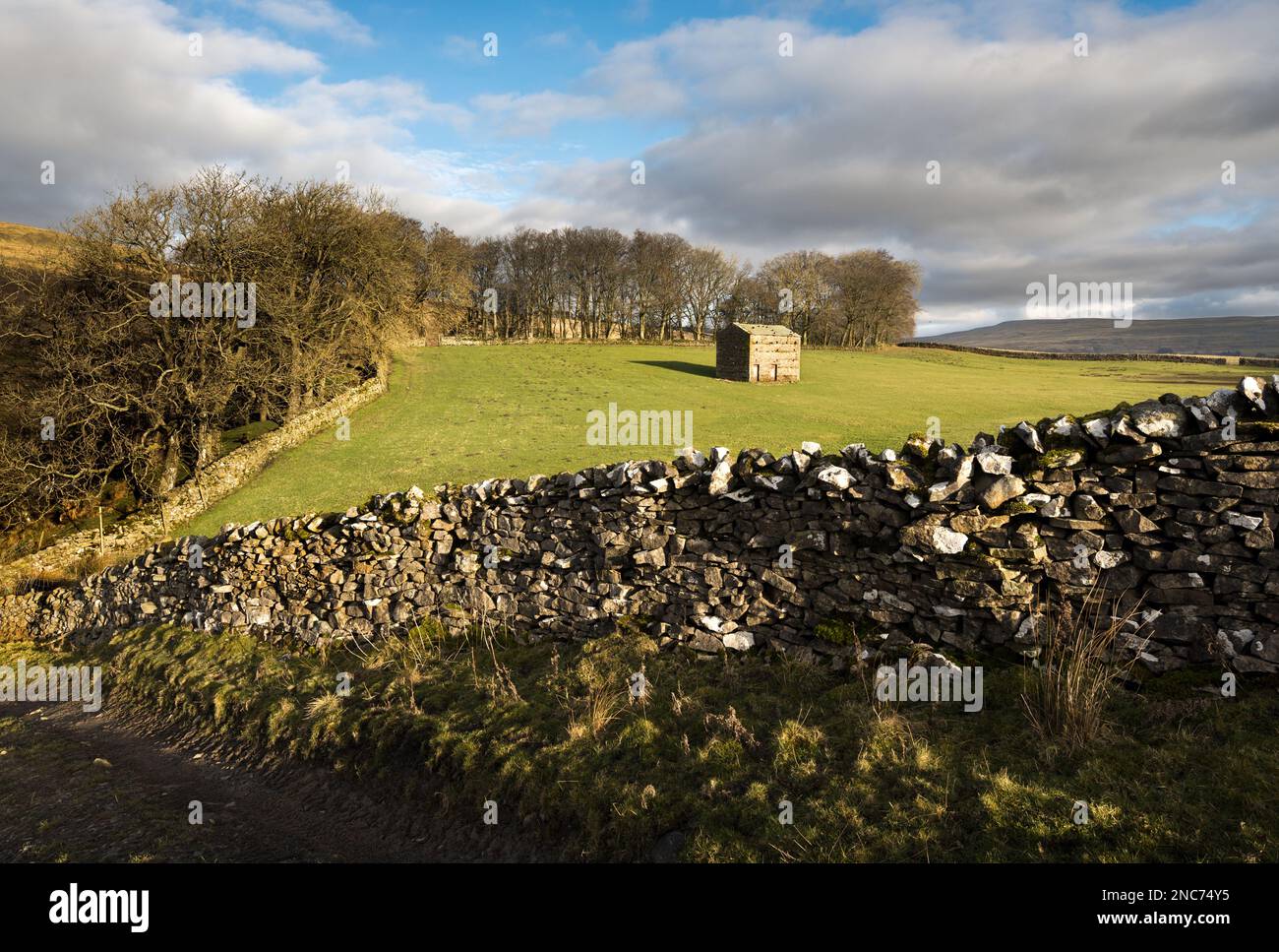 Traditionelle trockene Steinmauern und Feldscheune, Widdale in der Nähe von Hawes, Yorkshire Dales National Park Stockfoto