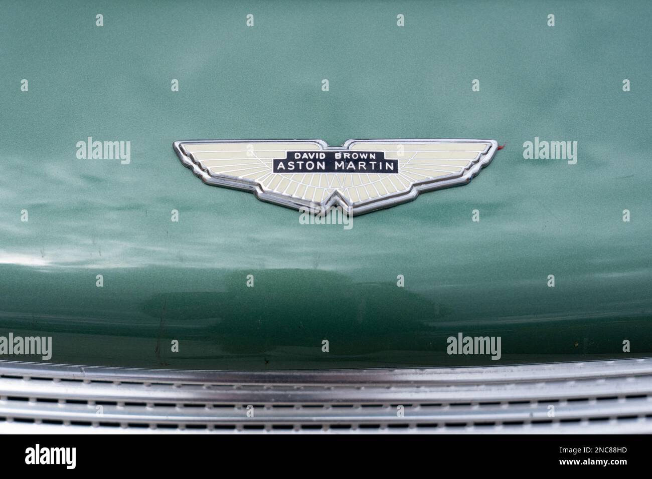 Aston Martin Emblem auf der Motorhaube eines klassischen 1960 Aston Martin DB4 Series 1 Sportwagens. Stockfoto