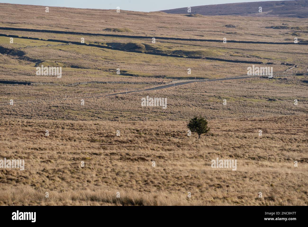 Blick auf North Pennine Moors von Upper Teesdale, County Durham Stockfoto