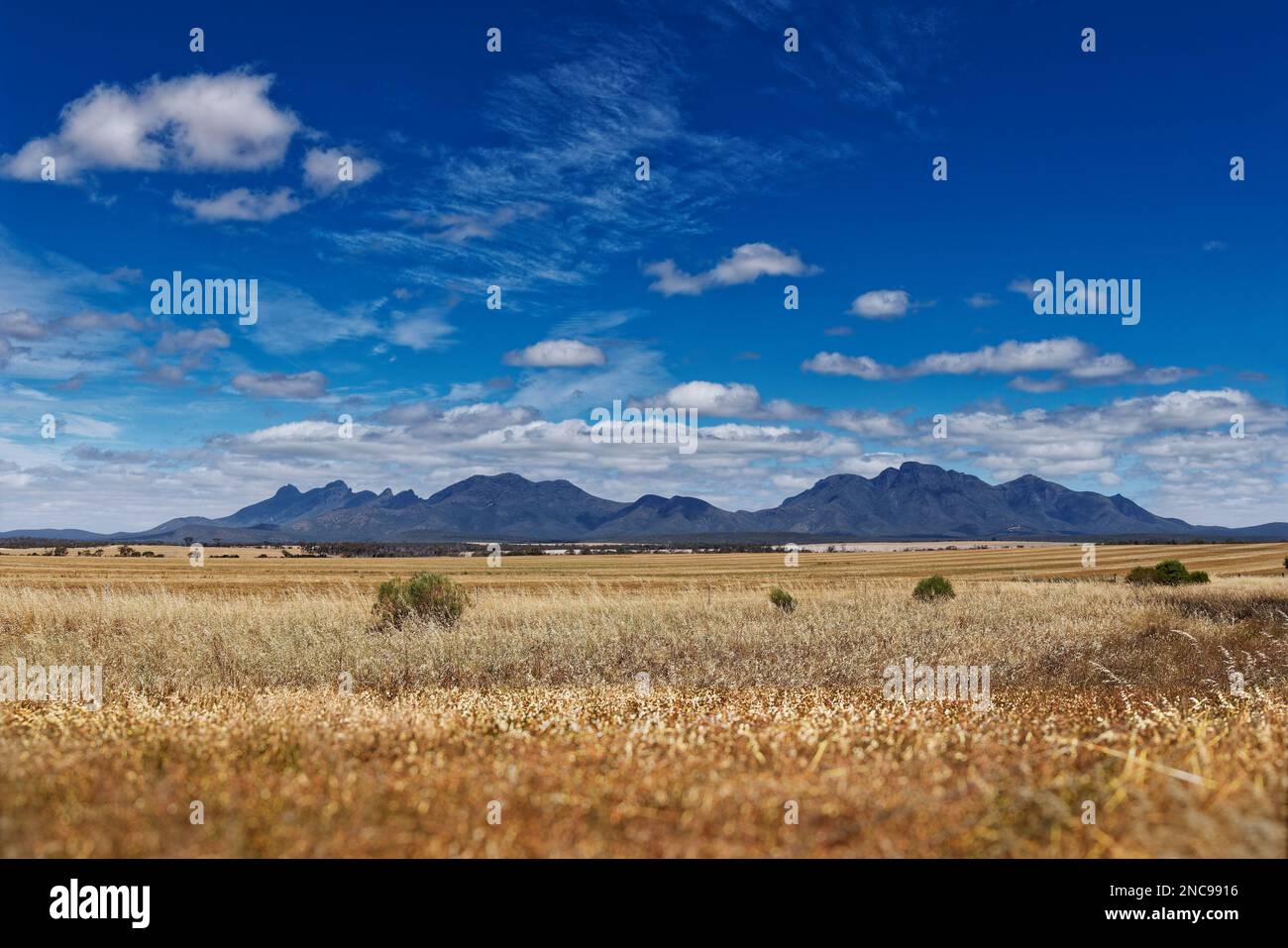 Stirling Range oder Koikyennuruff Landschaft, schöner Berg-Nationalpark in Westaustralien, mit dem höchsten Gipfel Bluff Knoll. Weg zu A Stockfoto