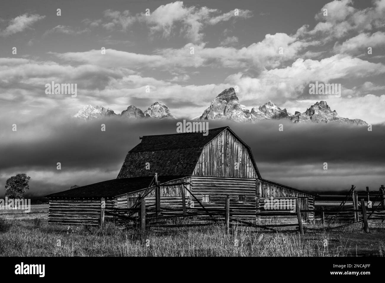 Das historische Moulton Barn an der Mormon Row im Grand Teton National Park, Jackson, Wyoming, USA Stockfoto