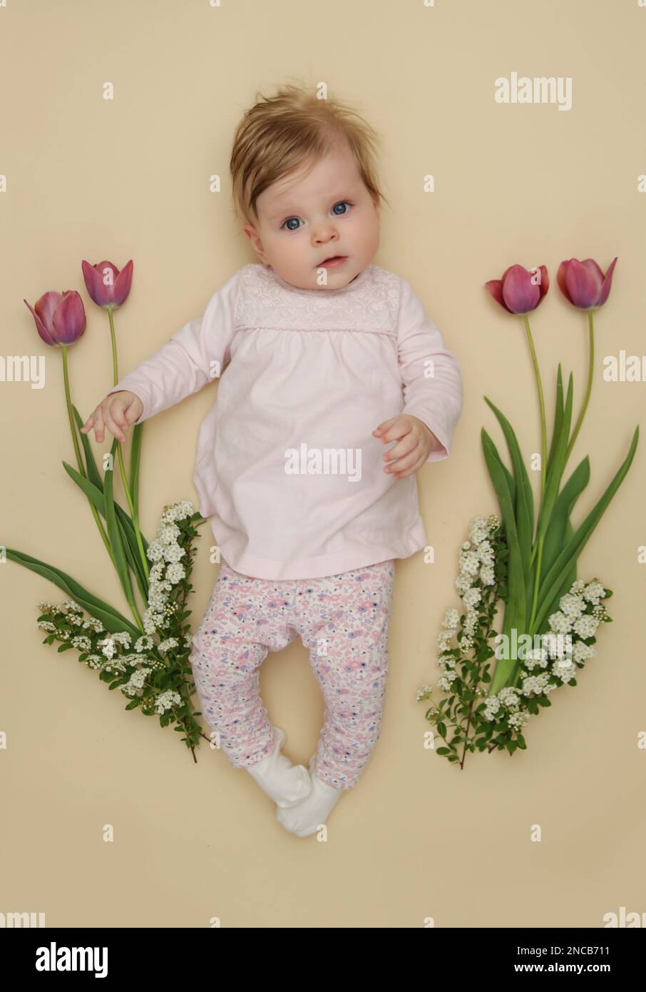Ein bezauberndes, 5 Monate altes Baby mit rosa Frühlingstuppen. Herald des Frühlings. Meilensteinsitzung für Babys und Kleinkinder. Federzusammensetzung. Fotoaufnahmen von Neugeborenen Stockfoto