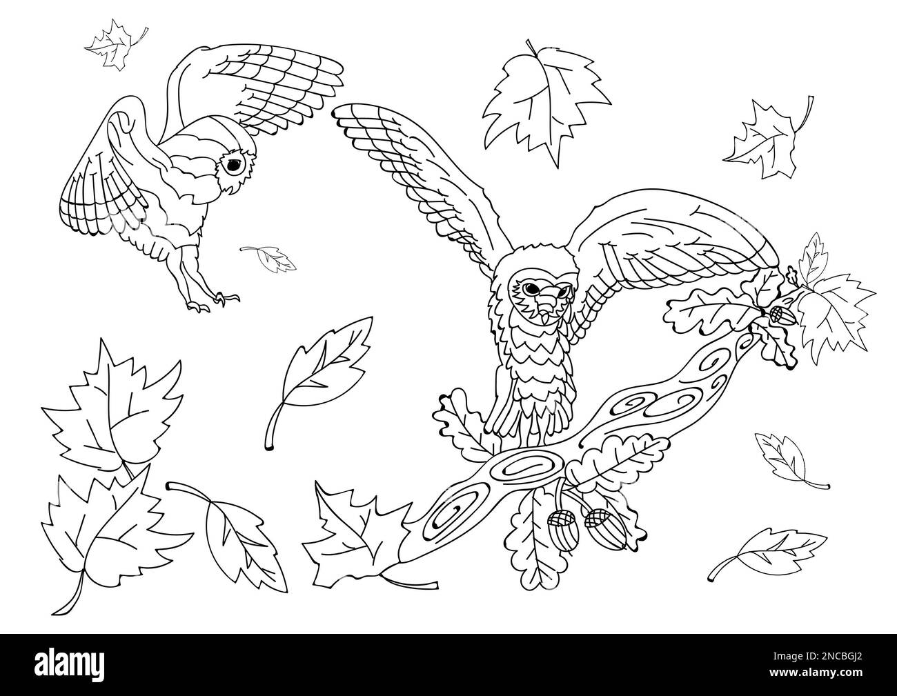 Süße Eulen und Blätter auf weißem Hintergrund, Illustration. Ausmalseite Stockfoto