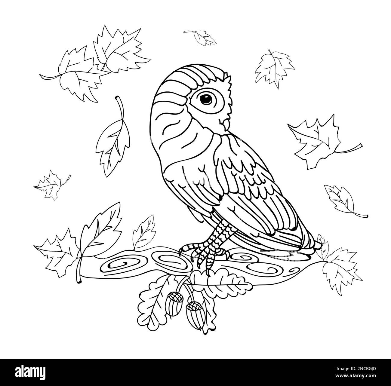 Süße Eule und Blätter auf weißem Hintergrund, Illustration. Ausmalseite Stockfoto