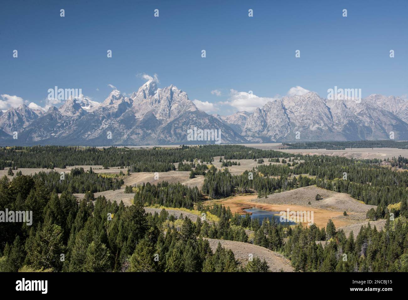 Im Herbst erwarten euch der große Hedrick Pond und die Teton Range im Grand Teton National Park, Jackson, Wyoming, USA Stockfoto