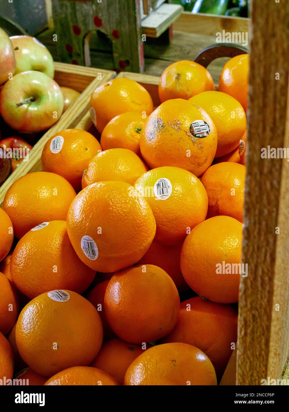 In der Pike Road, Alabama, USA, werden frische Orangen zum Verkauf auf einem Bauernmarkt oder Straßenmarkt in Alabama angeboten. Stockfoto