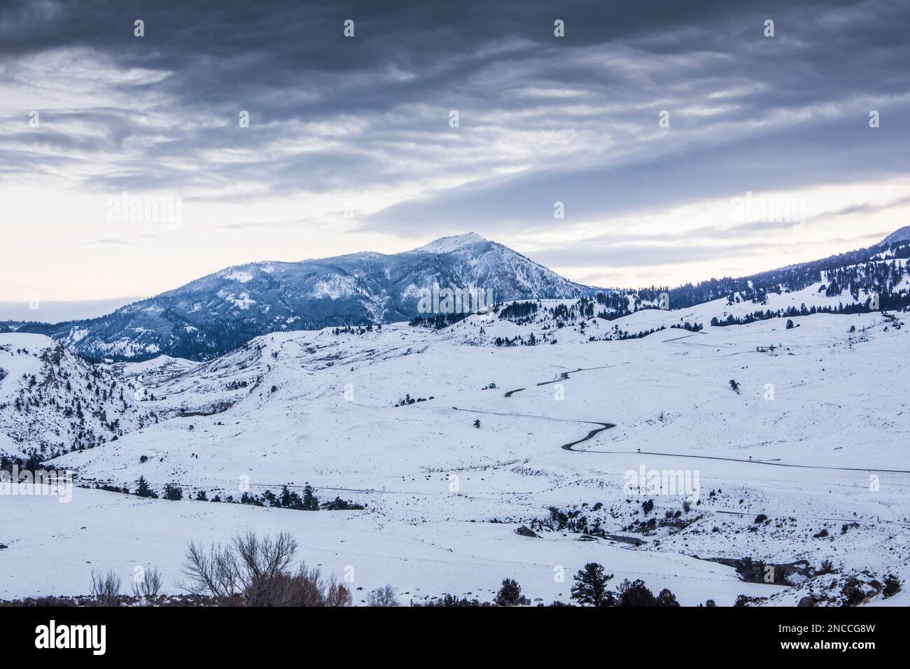 Zwischen Gardiner und Mammoth Montana im Yellowstone-Nationalpark, Montana, Wyoming, USA, wurde eine provisorische Straße eingerichtet Stockfoto