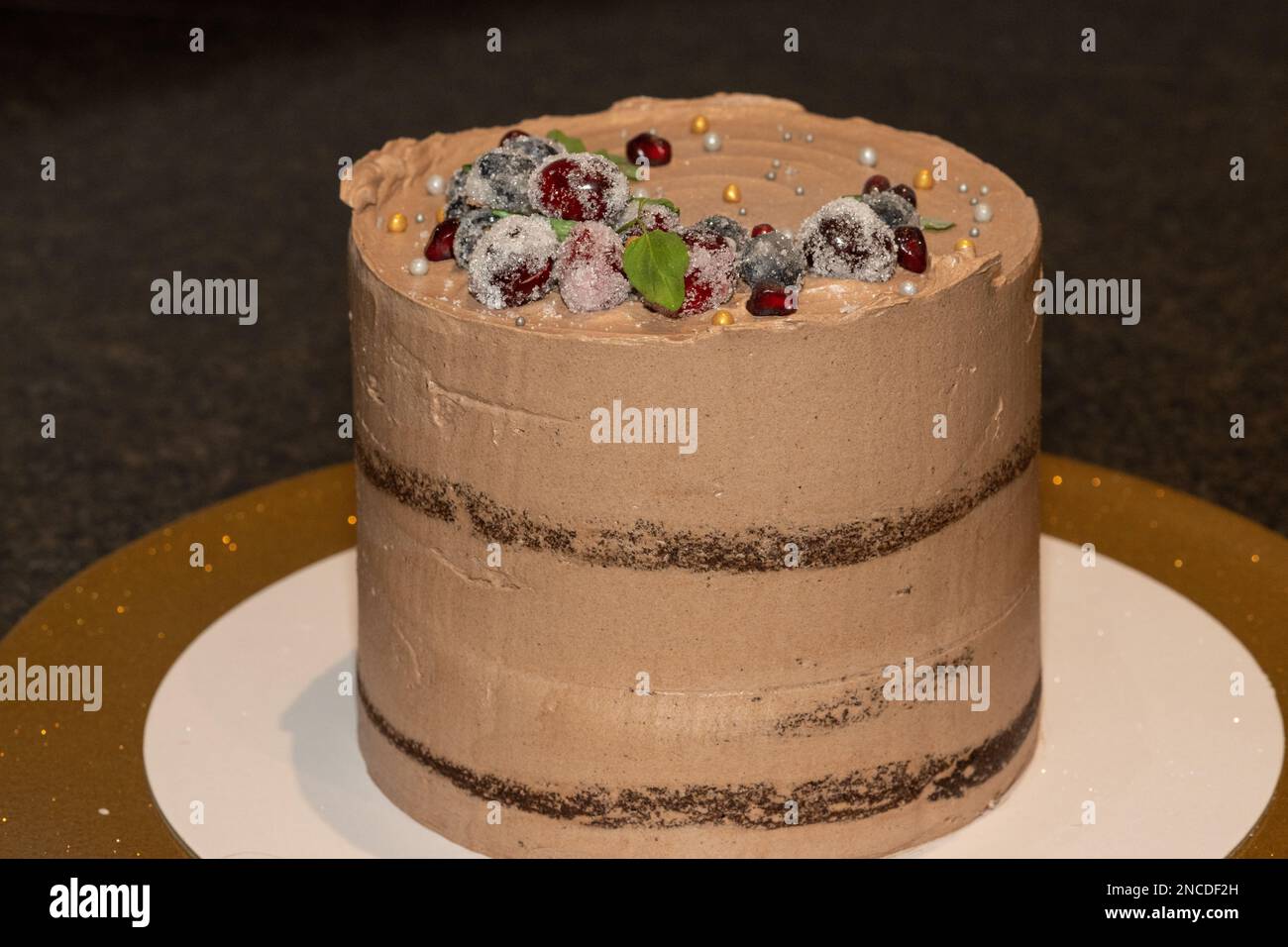 Ein Schokoladen-Milchkuchen mit Mazerationsbeeren. Die köstliche Süßigkeit ist mit Heidelbeeren, Granatäpfel und Cranberry-Zucker dekoriert. Stockfoto